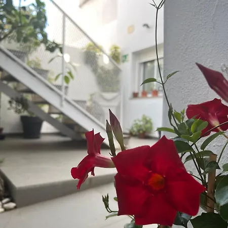 Chipibeach B&b, Boutique 4*