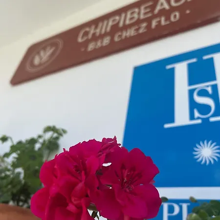 Chipibeach, Boutique